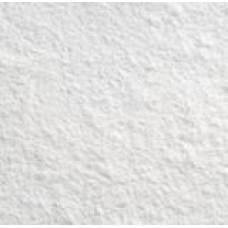 Rice Products